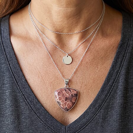 Petoskey Stone - Product card gallery slide 3 (10343328284985)