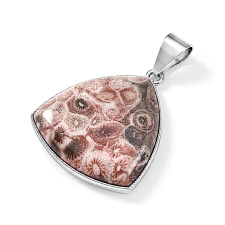 Petoskey Stone - Product card gallery slide 4 (10343328252217)