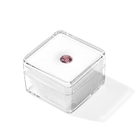 Default Title - Product card gallery slide 4 (10307788603705)