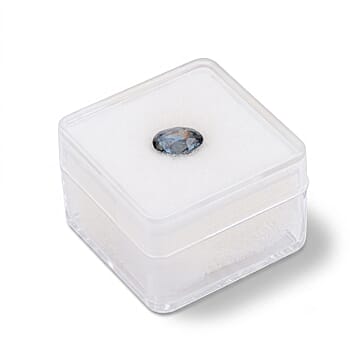 Default Title - Product card gallery slide 4 (10307788800313)