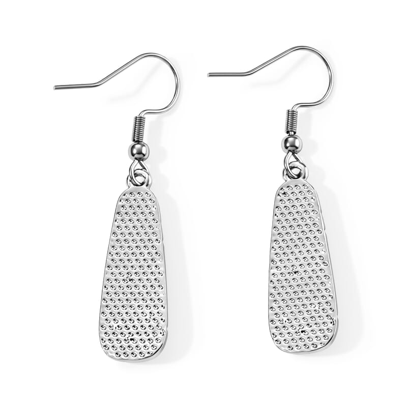 Abalone Shell Tranquil Beauty of The Ocean Earrings in Silvertone