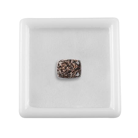Default Title - Product card gallery slide 4 (10331668119865)