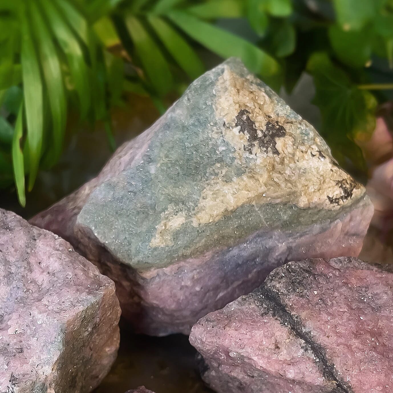Natural Rhodonite with Aquamarine Inclusions 5-6 Approx 3225Ctw