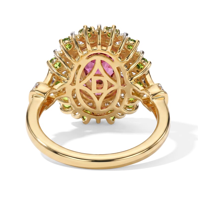 D'Joy Premium Tanzanian Wine Garnet and Multi Gemstone 2.50 ctw Blazing Forest Ring in 18K Vermeil Yellow Gold Over Sterling Silver (Size 6.0)