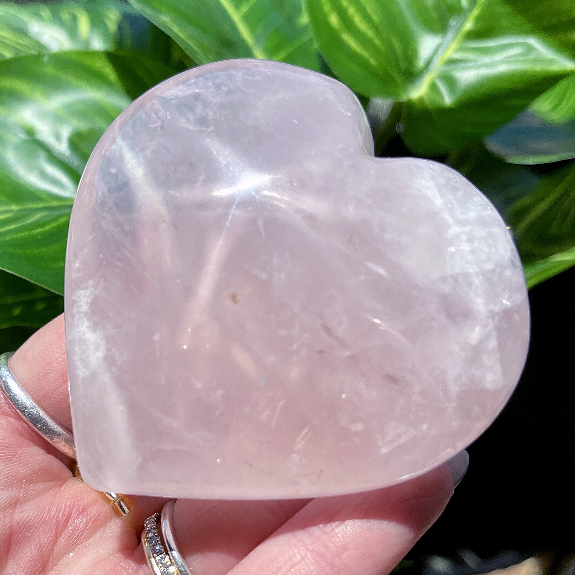 Madagascan Rose Quartz Heart  730 ctw