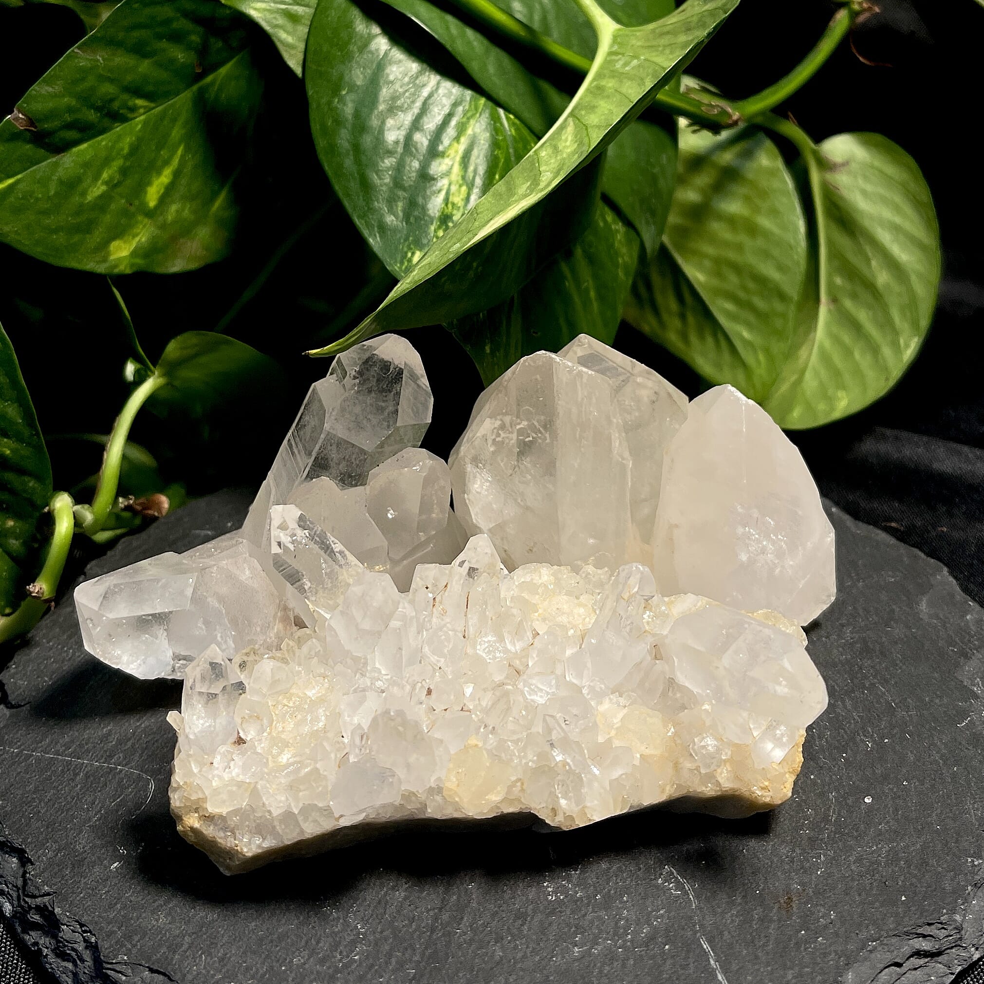 Natural Clear Quartz Cluster 3-4 1310 ctw