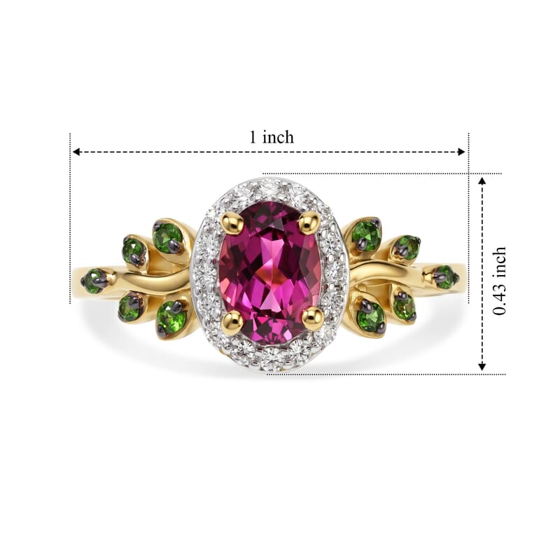D'Joy Premium Tanzanian Wine Garnet and Multi Gemstone 1.25 ctw Enchanted Vine Ring in 18K Vermeil Yellow Gold Over Sterling Silver (Size 6.0)