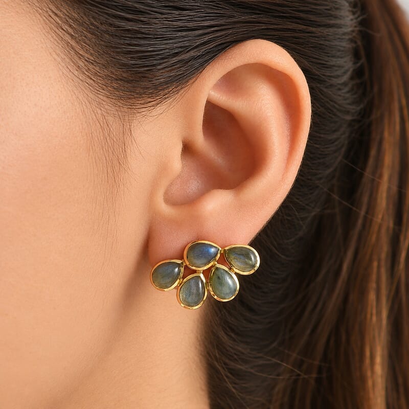 D'Joy Malagasy Labradorite 8.50 ctw Cluster Earrings in 18K Vermeil Yellow Gold Over Sterling Silver