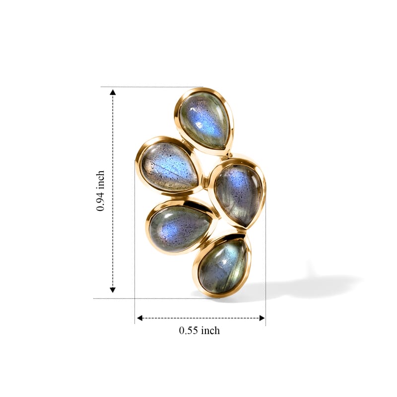 D'Joy Malagasy Labradorite 8.50 ctw Cluster Earrings in 18K Vermeil Yellow Gold Over Sterling Silver