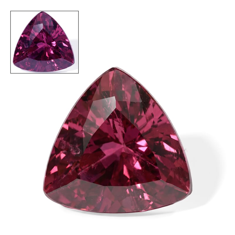 Gem Hunter AAAA Usambara Color Change Garnet (Trillion 7mm) 1.00 ctw