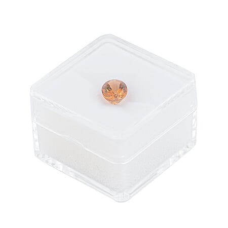 Default Title - Product card gallery slide 4 (10331141013817)