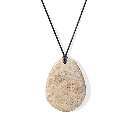 Fossil Coral - Product card gallery slide 1 (10350654062905)