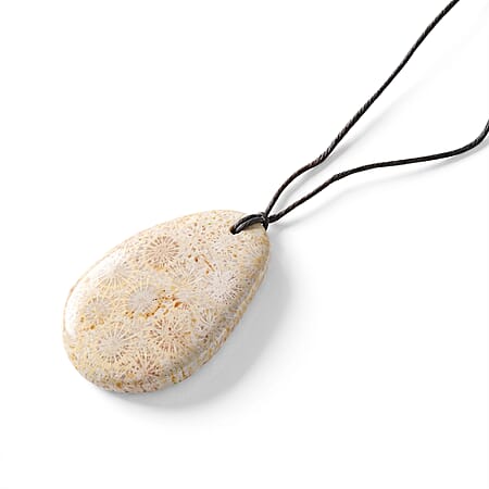 Fossil Coral - Product card gallery slide 3 (10350654062905)