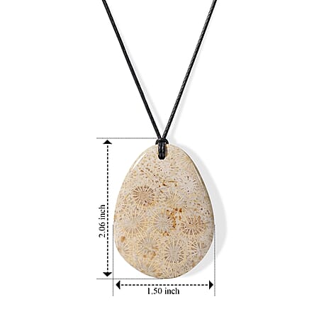 Fossil Coral - Product card gallery slide 4 (10350654062905)