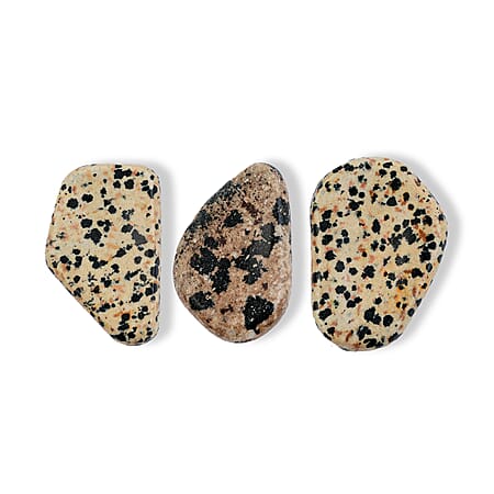 Dalmatian Jasper - Product card gallery slide 4 (15404154880313)