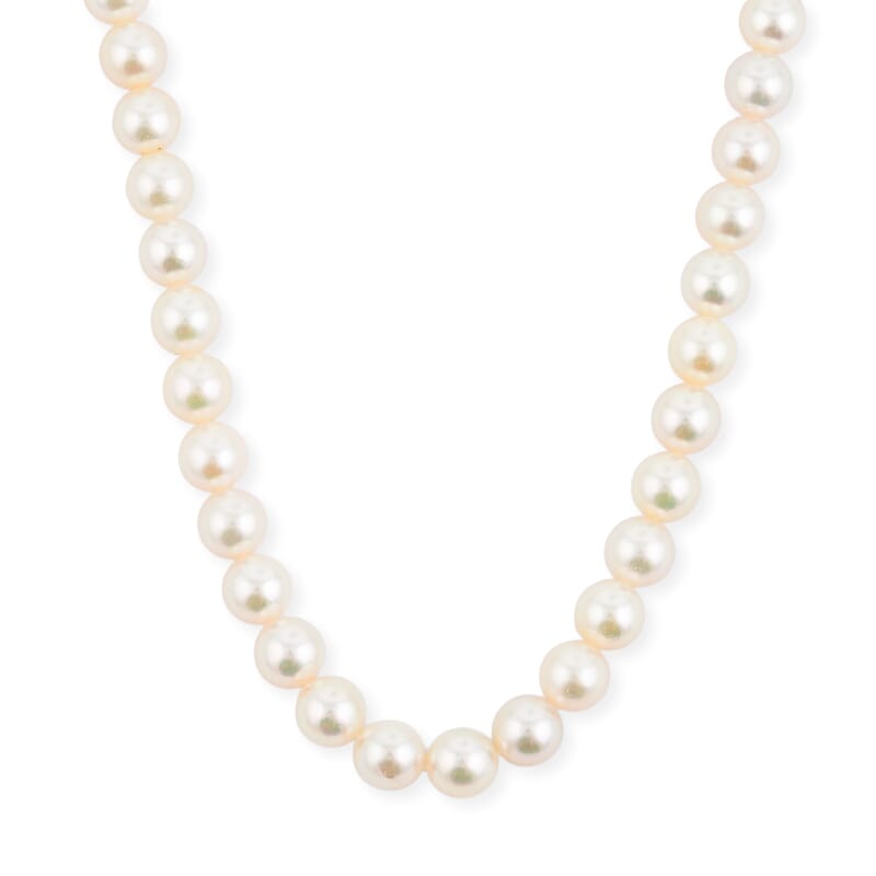Japanese Akoya Pearl Necklace in Sterling Silver 16 Inches