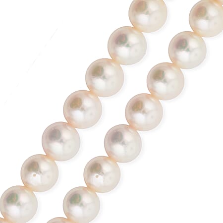 Japanese Akoya Pearl - Product card gallery slide 2 (15383230710073)
