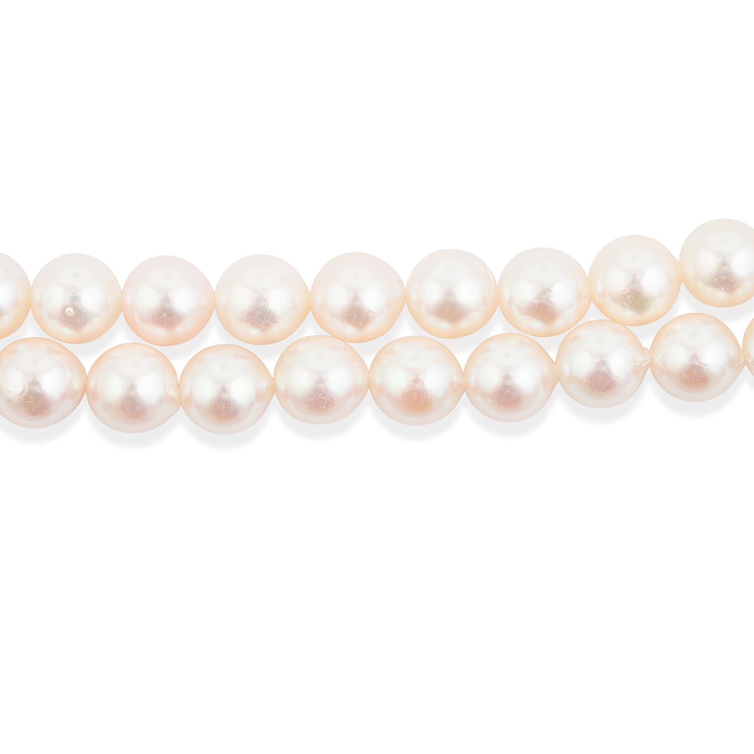 Japanese Akoya Pearl Two Row Necklace in Sterling Silver 15 Inches