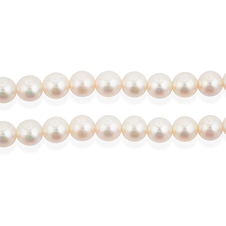 Japanese Akoya Pearl - Product card gallery slide 2 (15383231529273)