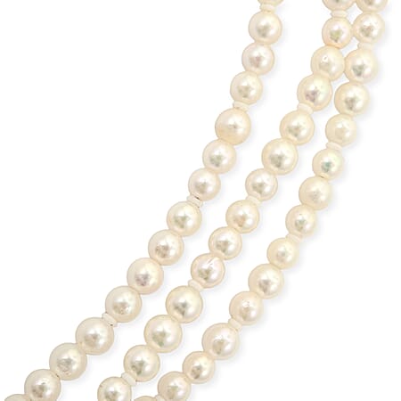 Japanese Akoya Pearl - Product card gallery slide 2 (15383285530937)