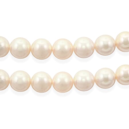 Japanese Akoya Pearl - Product card gallery slide 2 (15383287333177)