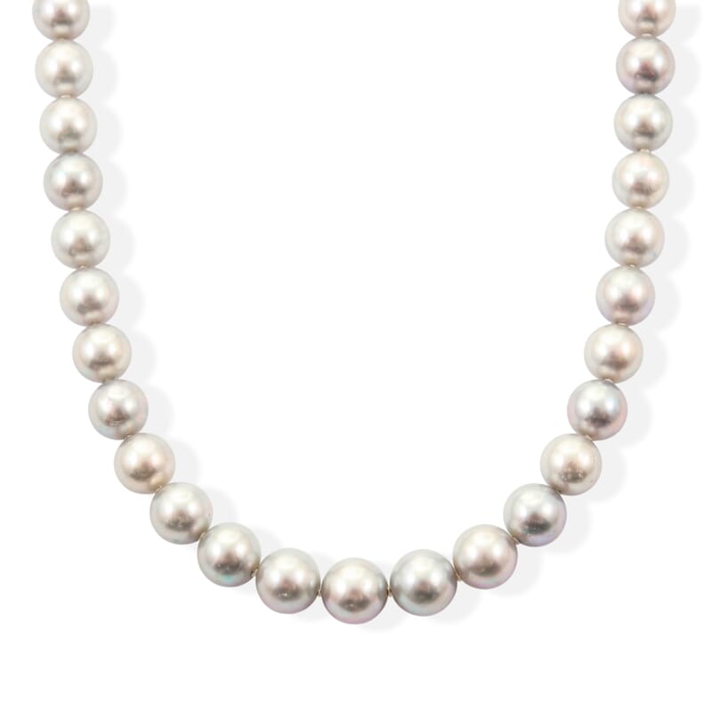 Japanese Akoya Gray Pearl Necklace in Sterling Silver 17 Inches
