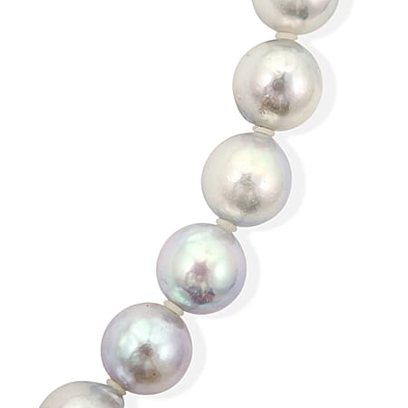 Japanese Akoya Pearl - Product card gallery slide 3 (15383285137721)