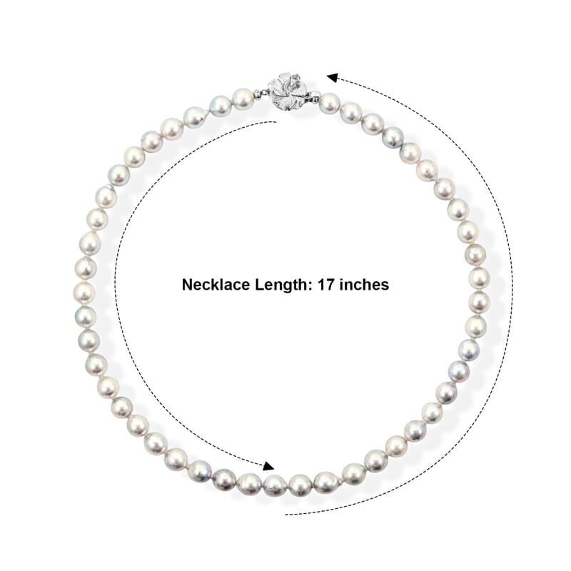 Japanese Akoya Gray Pearl Necklace in Sterling Silver 17 Inches
