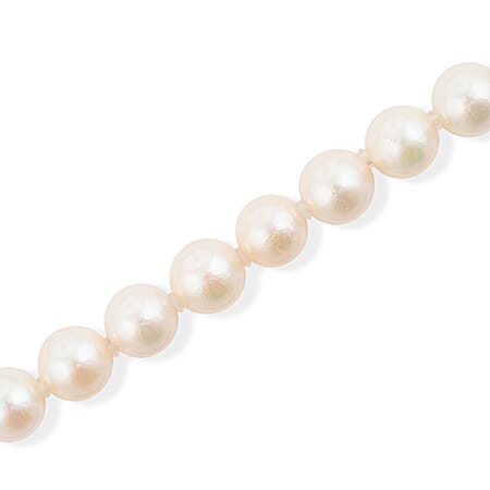 Japanese Akoya Pearl - Product card gallery slide 3 (15383280714041)