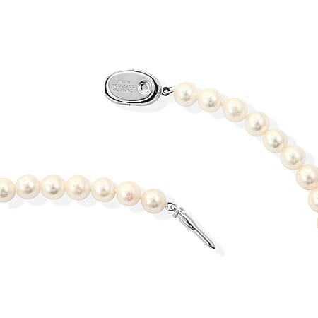 Japanese Akoya Pearl - Product card gallery slide 2 (15383284187449)