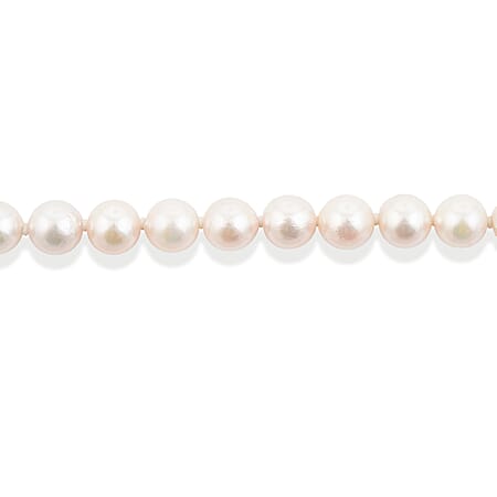 Japanese Akoya Pearl - Product card gallery slide 3 (15383235199289)