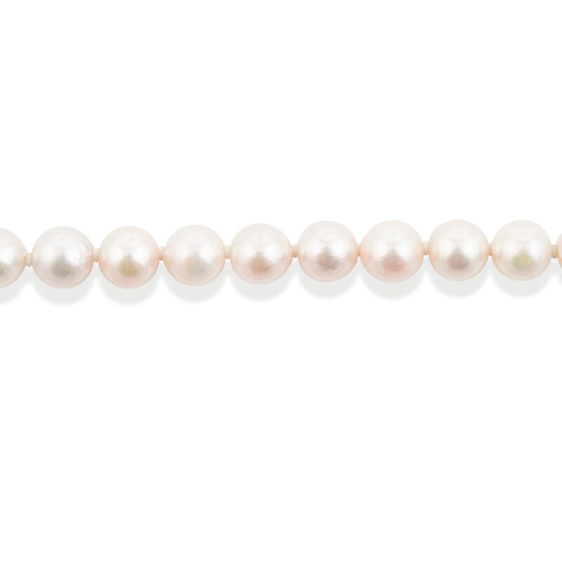 Japanese Akoya Pearl Necklace in Sterling Silver 35 Inches