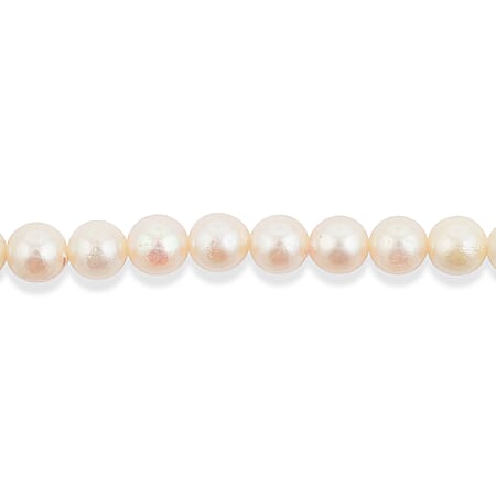 Japanese Akoya Pearl - Product card gallery slide 2 (15383273341241)