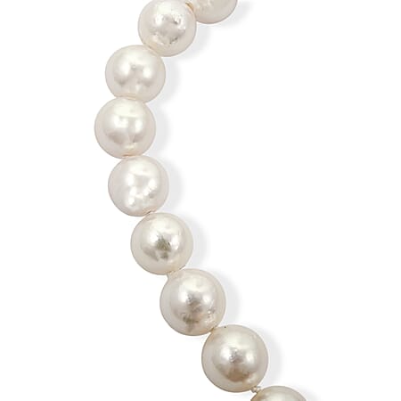 Japanese Akoya Pearl - Product card gallery slide 3 (15383046422841)
