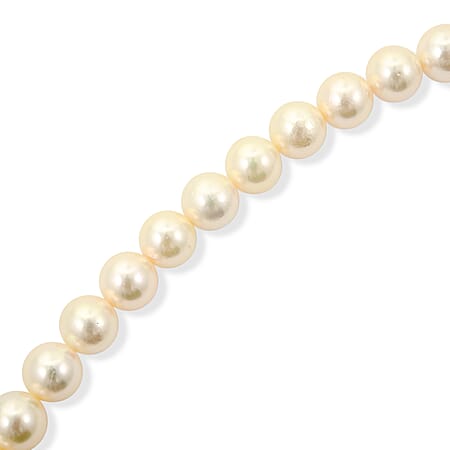 Japanese Akoya Pearl - Product card gallery slide 2 (15383046553913)