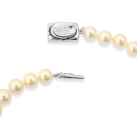 Japanese Akoya Pearl - Product card gallery slide 3 (15383046553913)