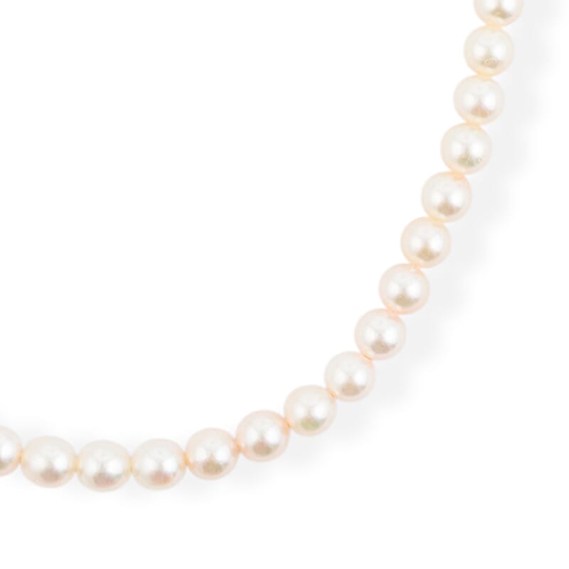 Japanese Akoya Pearl Necklace in Sterling Silver 19 Inches