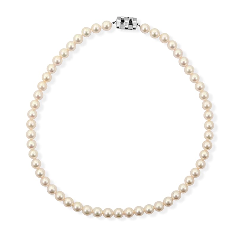 Japanese Akoya Pearl Necklace in Sterling Silver 17 Inches