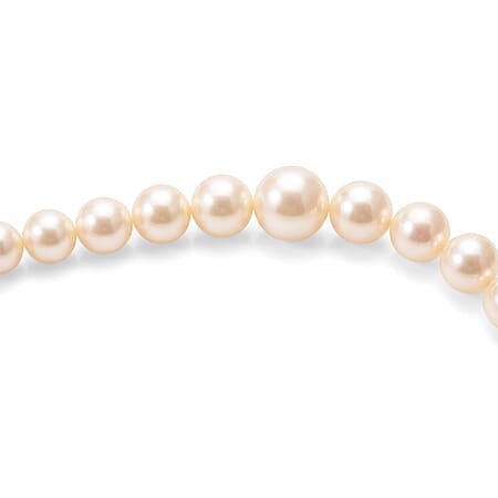 Japanese Akoya Pearl - Product card gallery slide 2 (15383284154681)
