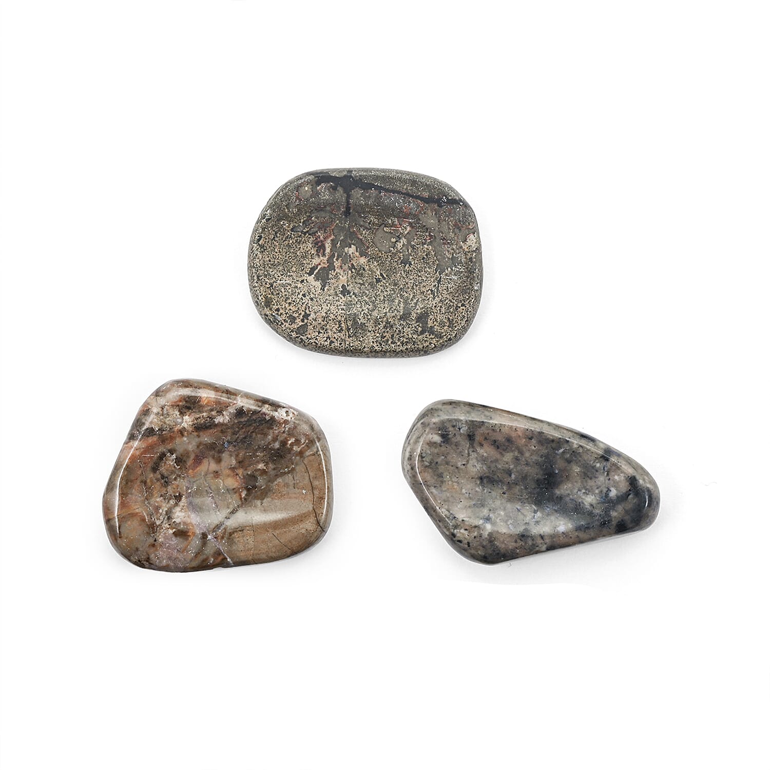 Petrified Wood Worry Stone