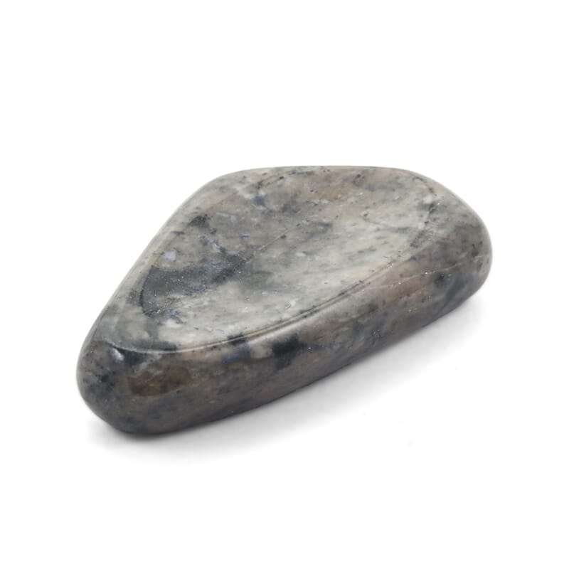 Petrified Wood Worry Stone