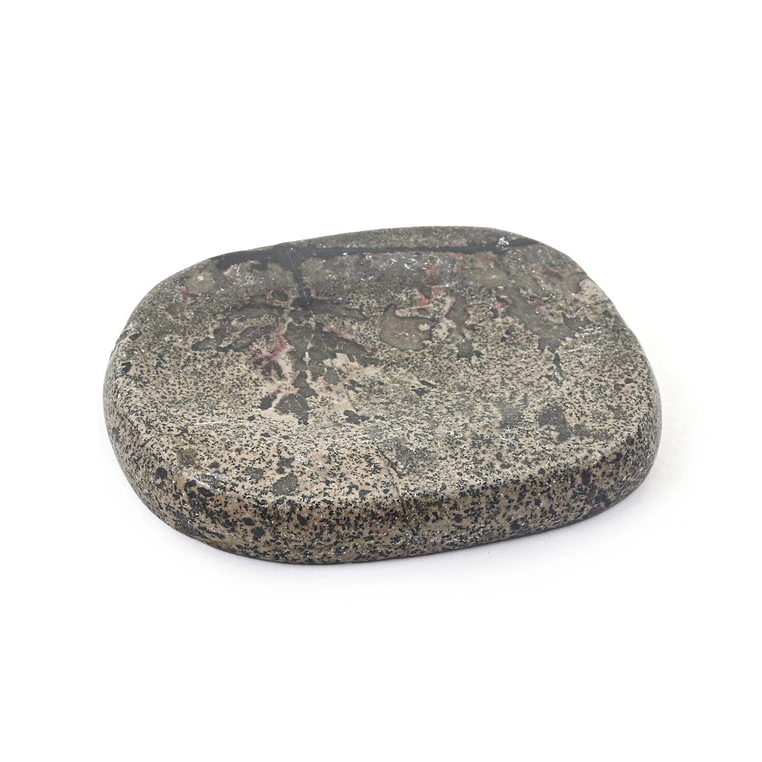 Petrified Wood Worry Stone