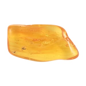 Yellow Amber Specimen with Box