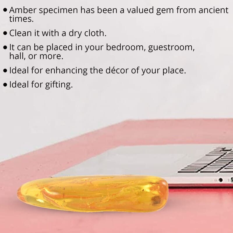 Yellow Amber Specimen with Box