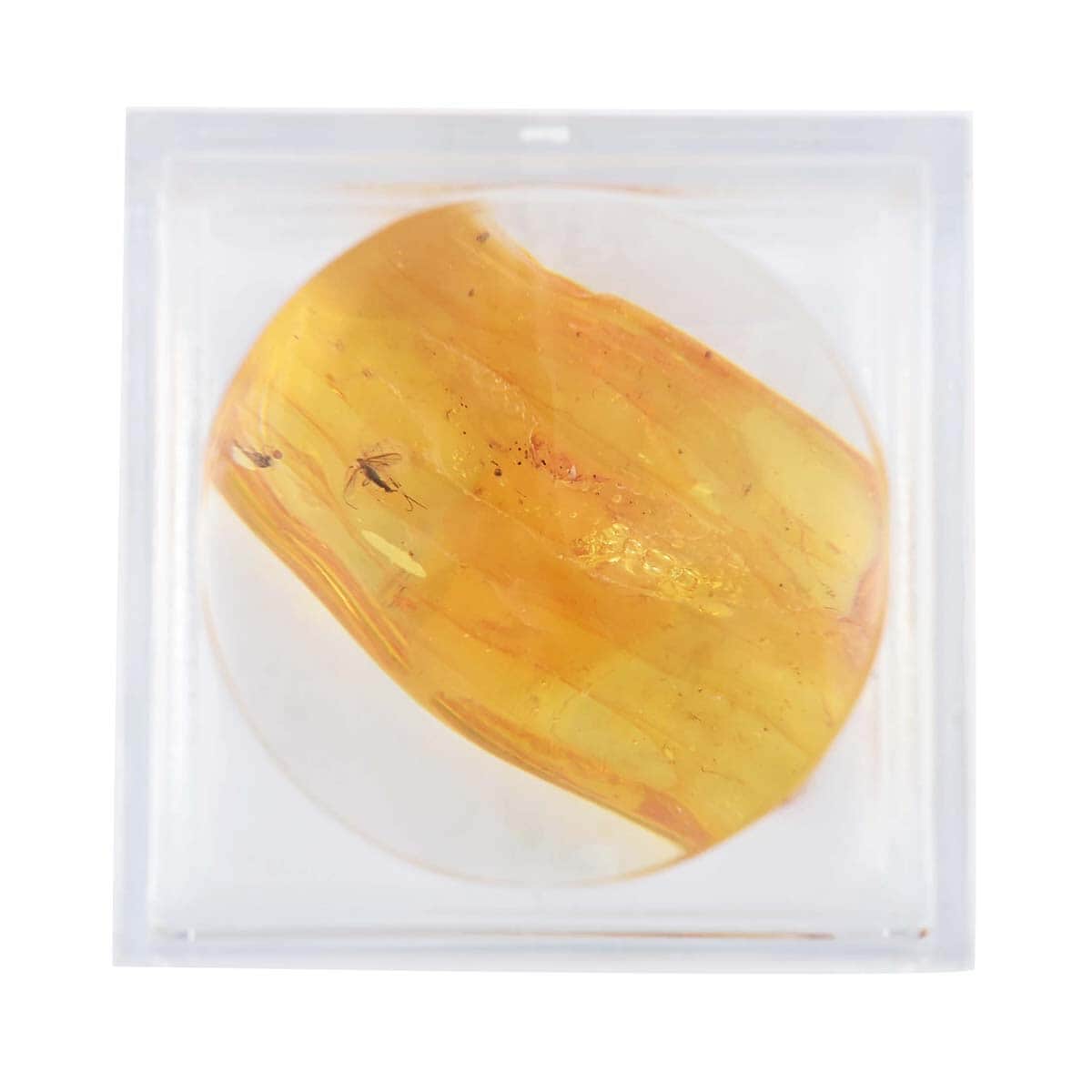 Yellow Amber Specimen with Box -Large image number 3