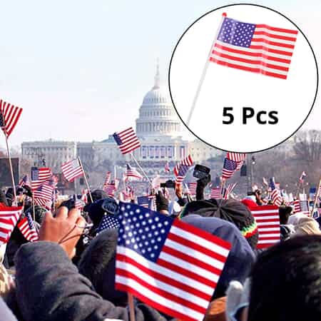 Mini American Flag 5PK image number 1