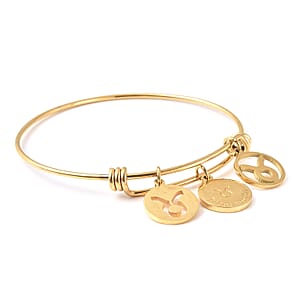 Taurus Zodiac Bangle Bracelet Gift Set in ION Plated Yellow Gold Stainless Steel (6-9 in)