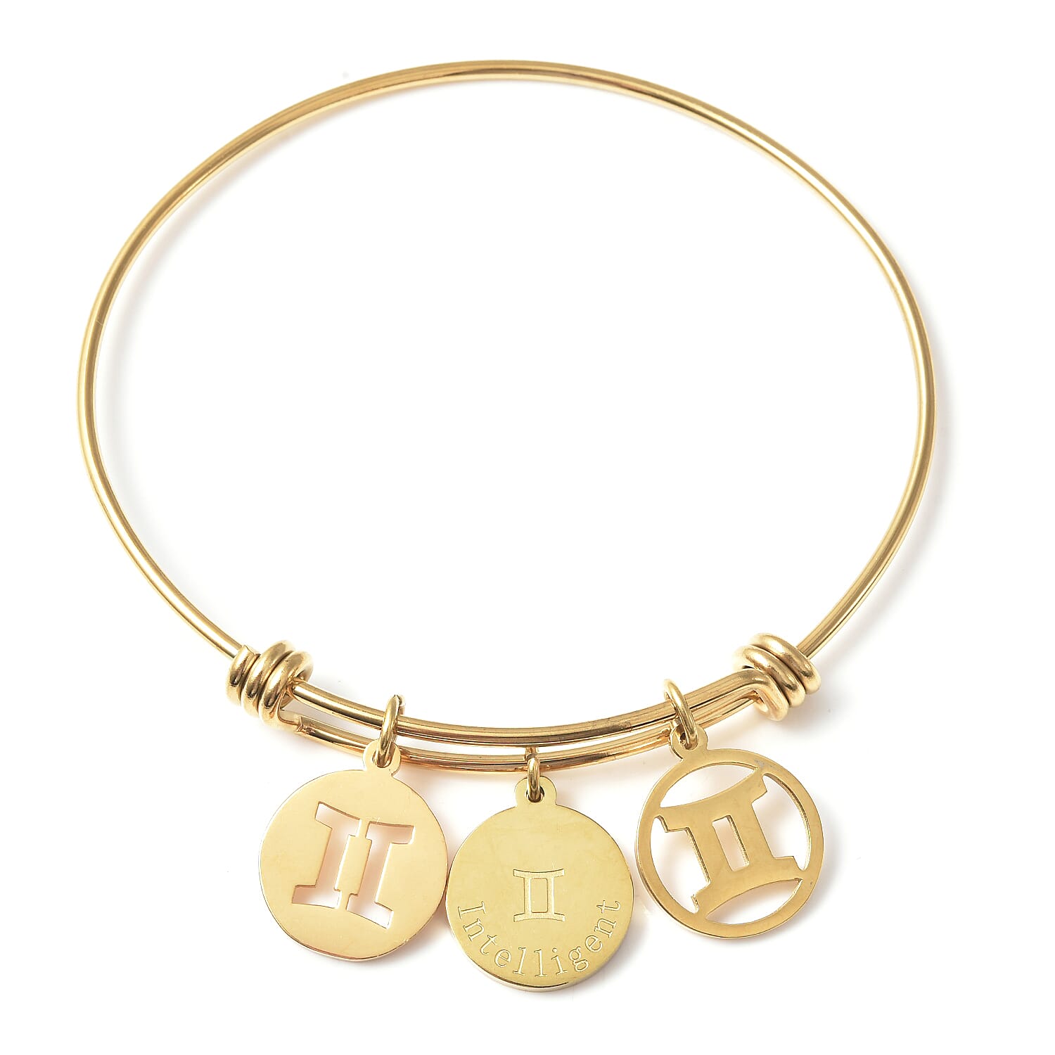 Gemini Zodiac Bangle Bracelet Gift Set in ION Plated Yellow Gold Stainless Steel (6-9 in)