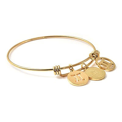 Gemini Zodiac Bangle Bracelet Gift Set in ION Plated Yellow Gold Stainless Steel (6-9 in)