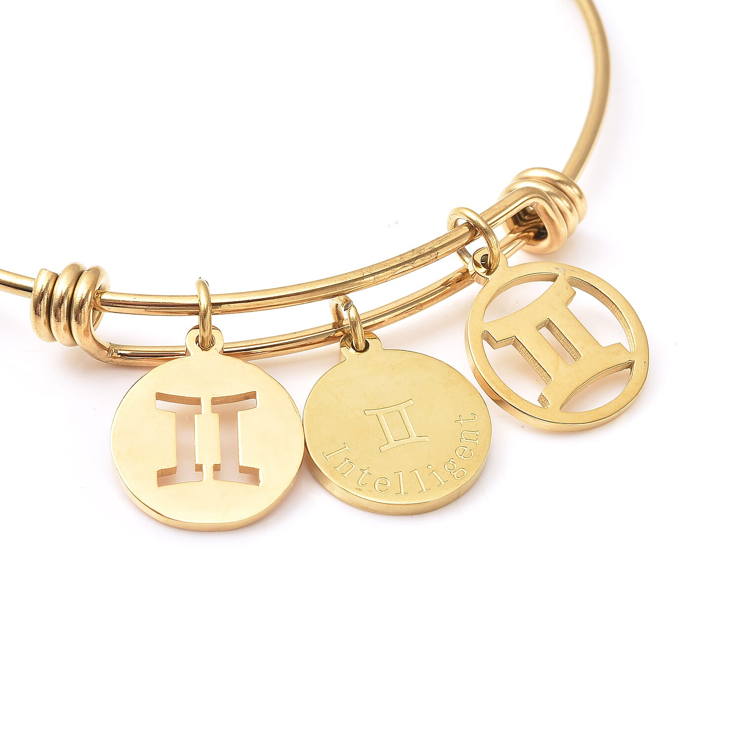 Gemini Zodiac Bangle Bracelet Gift Set in ION Plated Yellow Gold Stainless Steel (6-9 in)